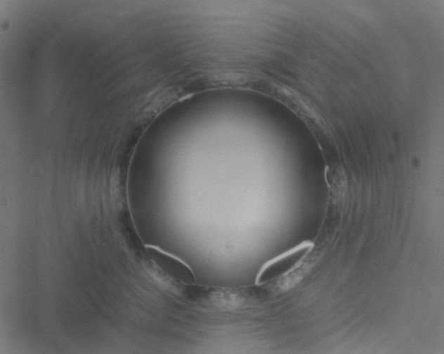 X0000051250764200506241546