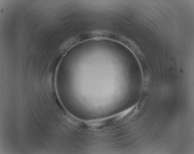 X0000051250765200506241546