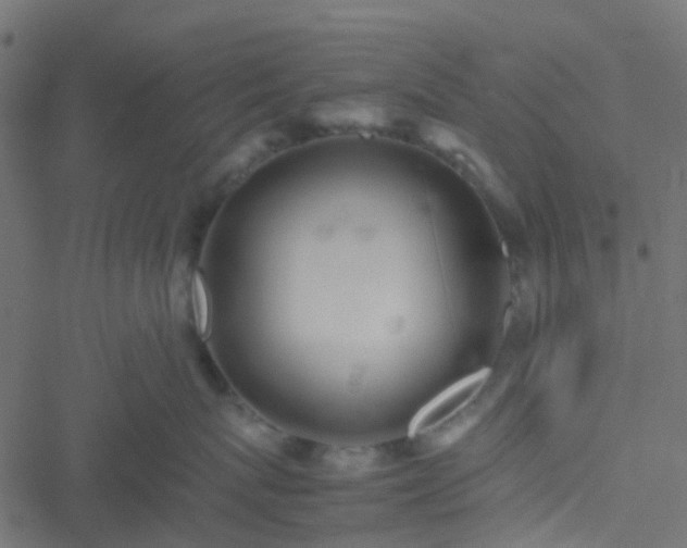 X0000051250767200506241546