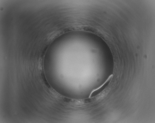 X0000051250768200506241546