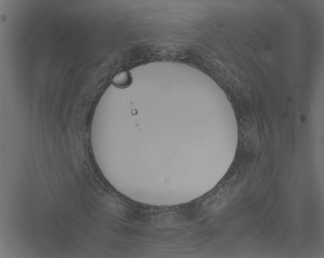 X0000051250769200506241546