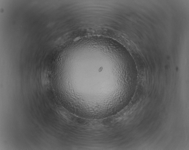 X0000051250770200506241546