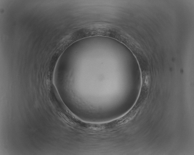 X0000051250771200506241546