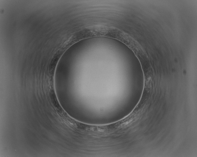 X0000051250772200506241546