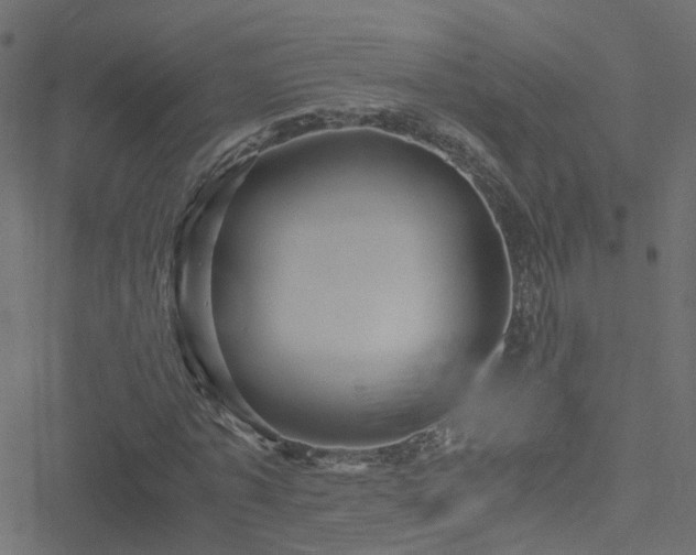 X0000051250773200506241545