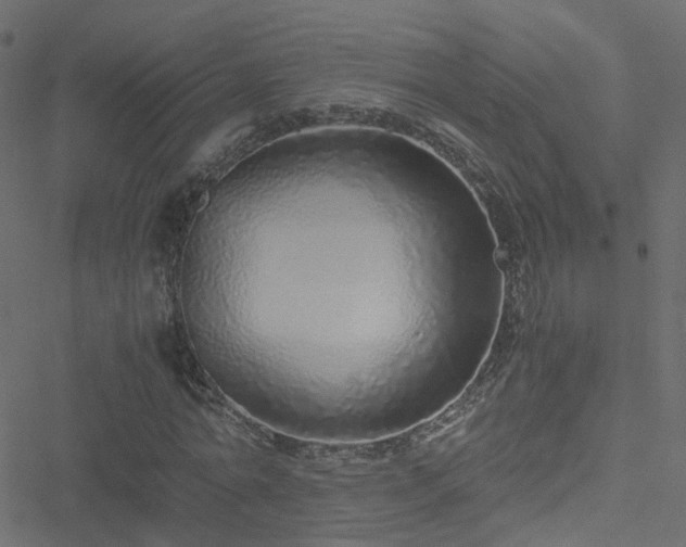 X0000051250774200506241545