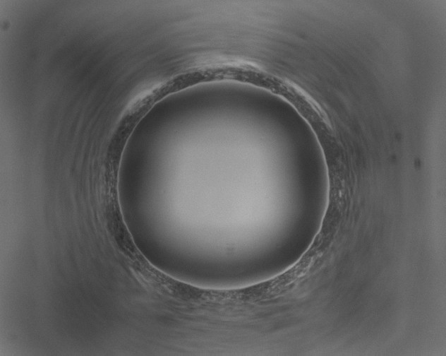 X0000051250775200506241545