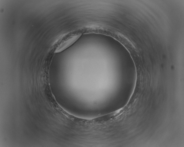 X0000051250776200506241545