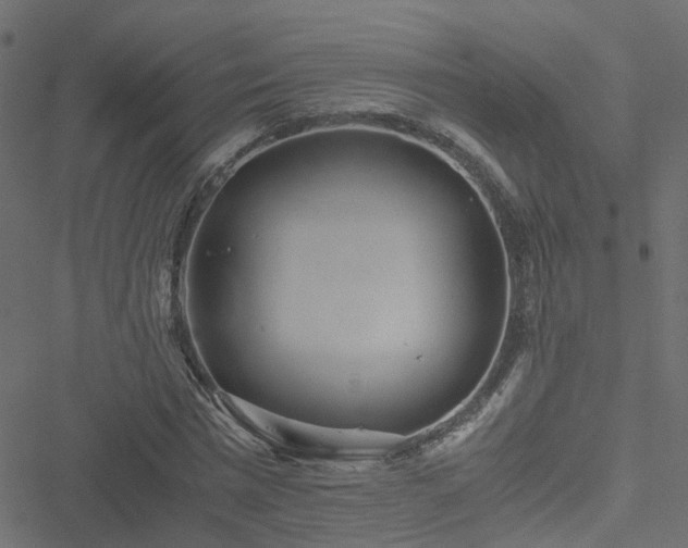 X0000051250777200506241545