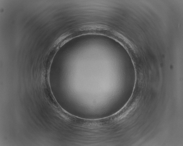 X0000051250778200506241545