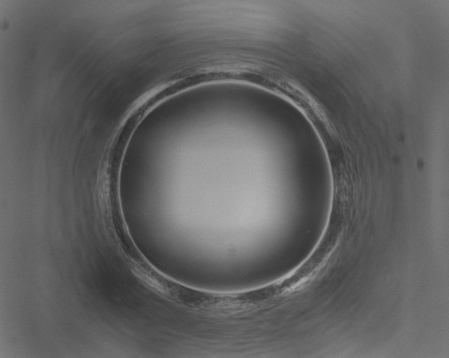 X0000051250779200506241545