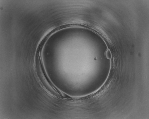 X0000051250780200506241545