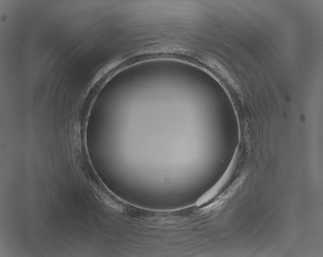 X0000051250781200506241545