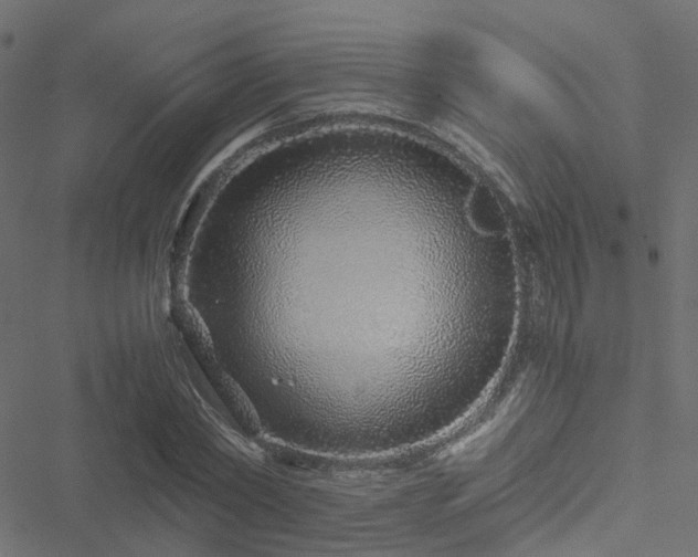 X0000051250782200506241545