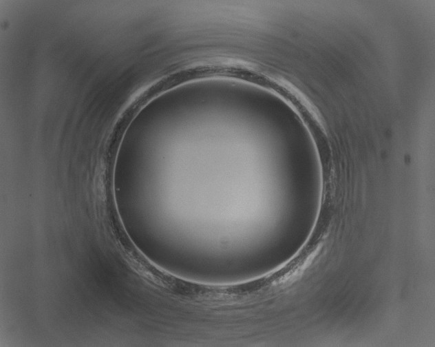 X0000051250783200506241545