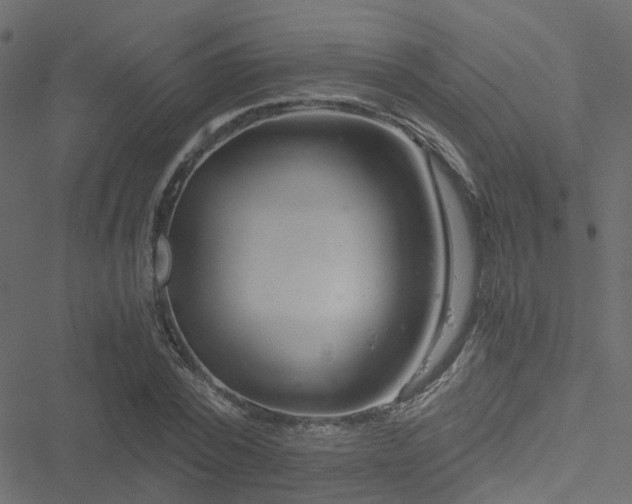 X0000051250784200506241545