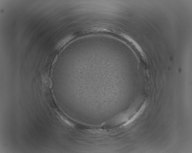 X0000051250785200506241545