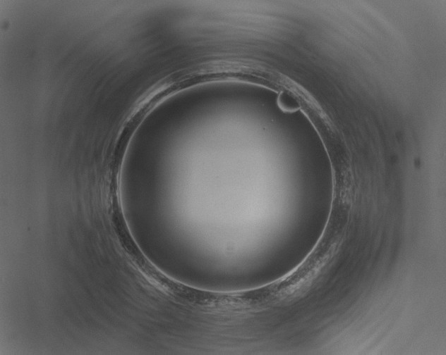 X0000051250786200506241545