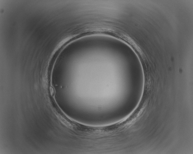 X0000051250787200506241545