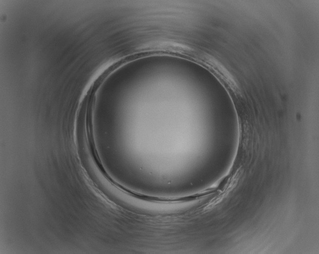 X0000051250788200506241545