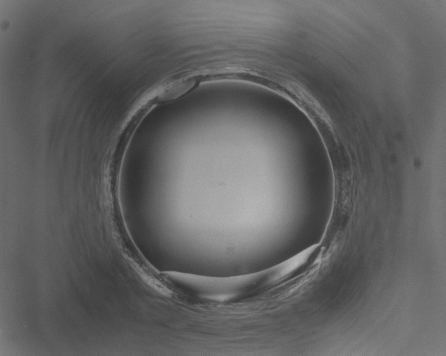 X0000051250789200506241545