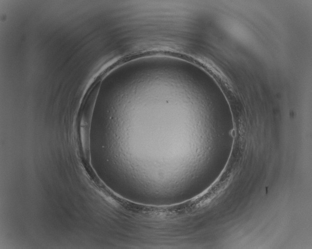 X0000051250790200506241545