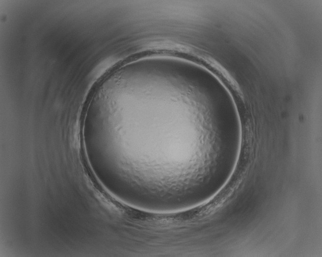 X0000051250791200506241545