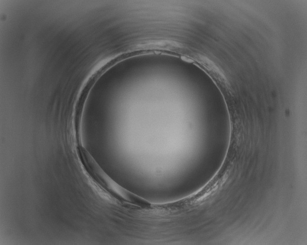 X0000051250792200506241545