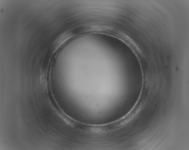 X0000051250794200506241545