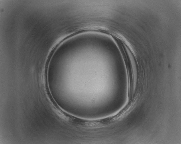 X0000051250795200506241545