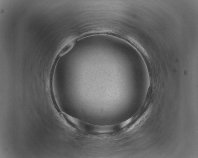 X0000051250797200506241545