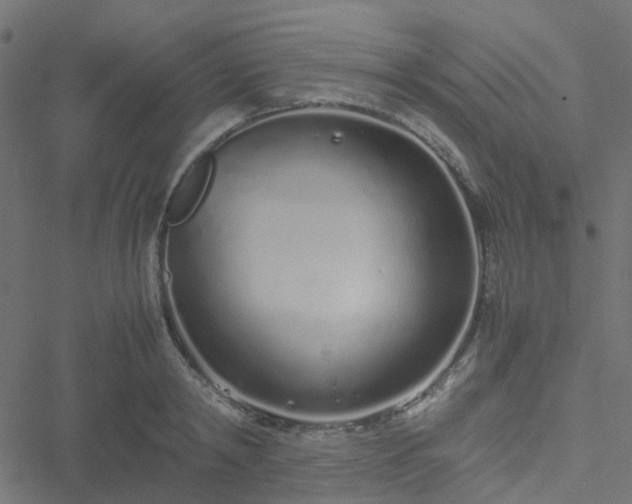 X0000051250798200506241545