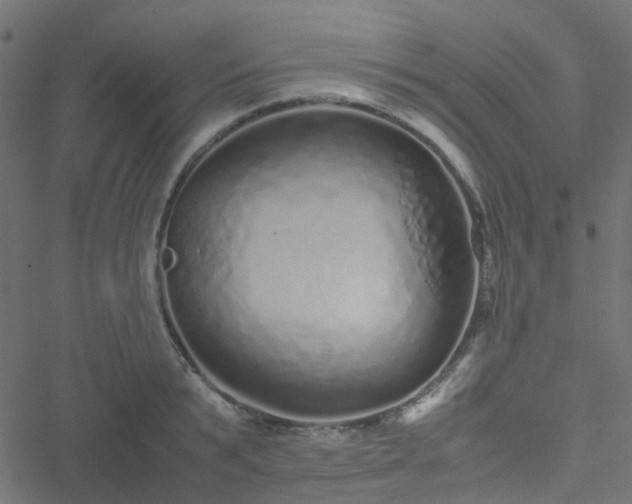 X0000051250799200506241545