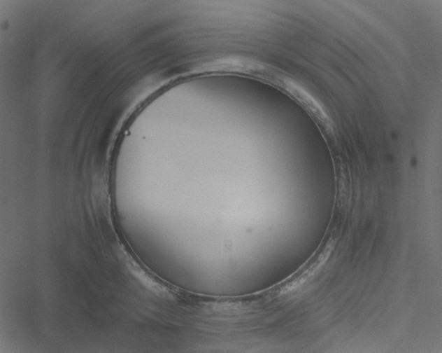 X0000051250800200506241545