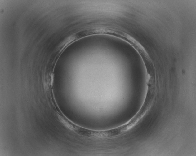 X0000051250801200506241545