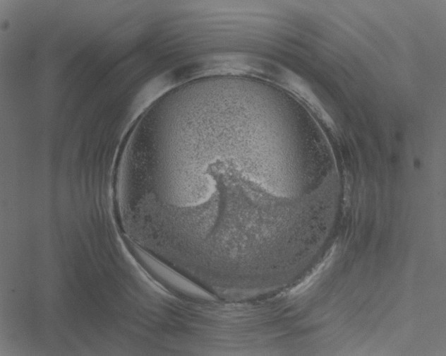 X0000051250802200506241545