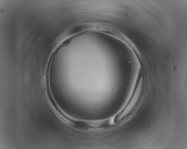 X0000051250803200506241545