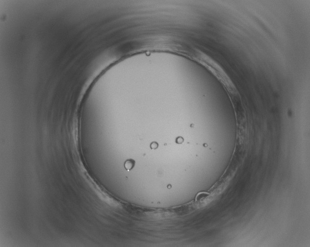 X0000051250804200506241545