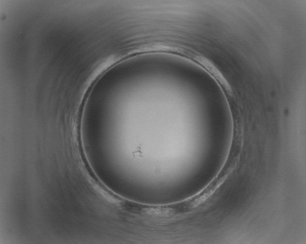 X0000051250805200506241545