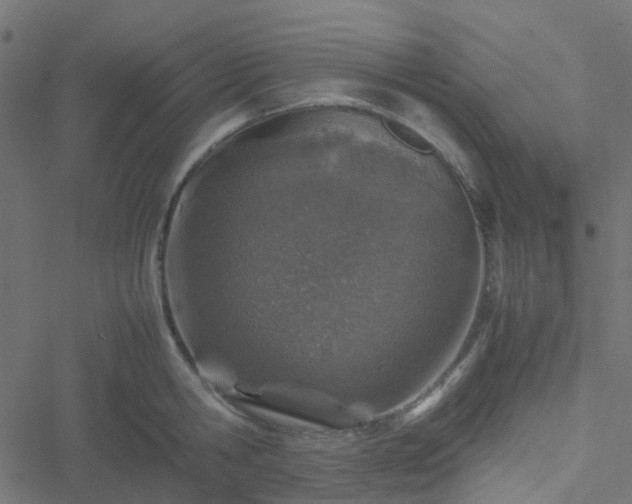 X0000051250806200506241545