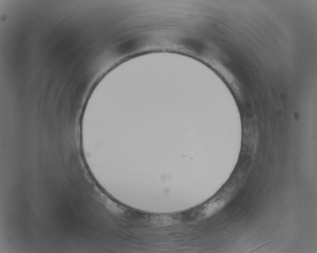 X0000051250807200506241545