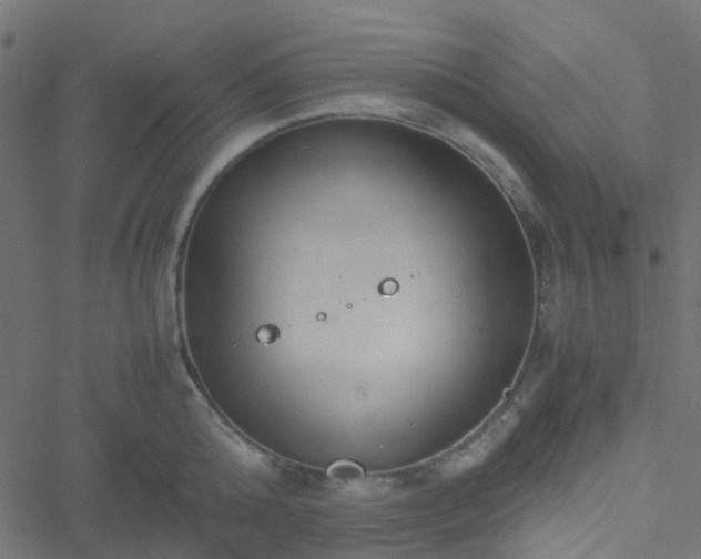 X0000051250808200506241545