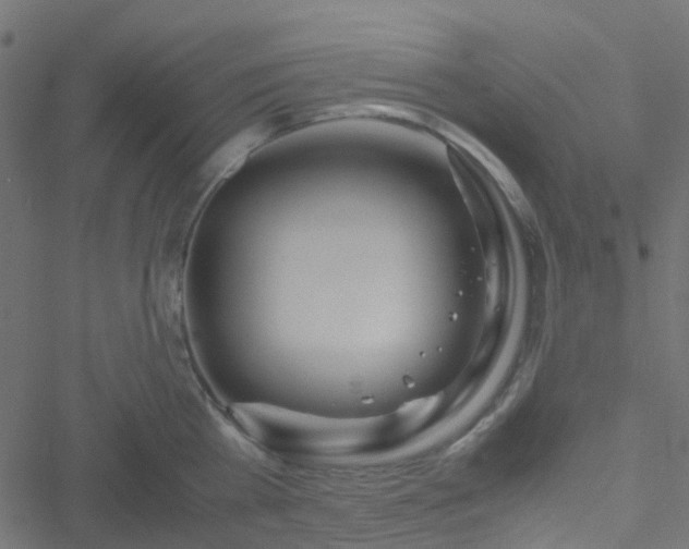 X0000051250809200506241545