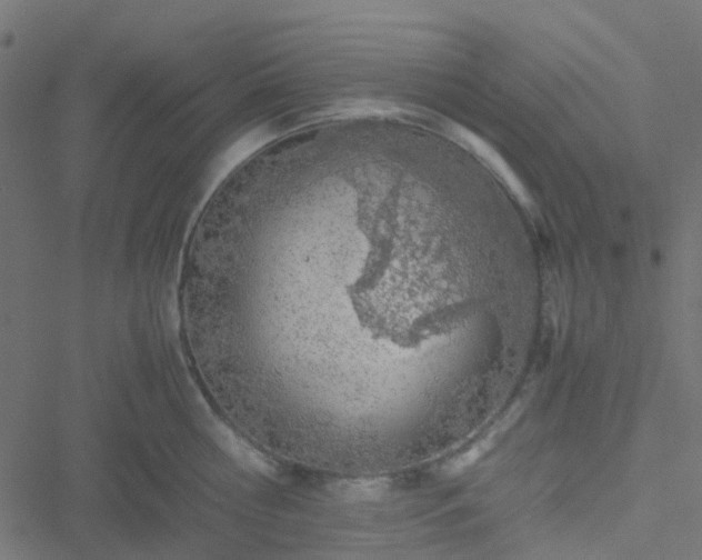 X0000051250810200506241545