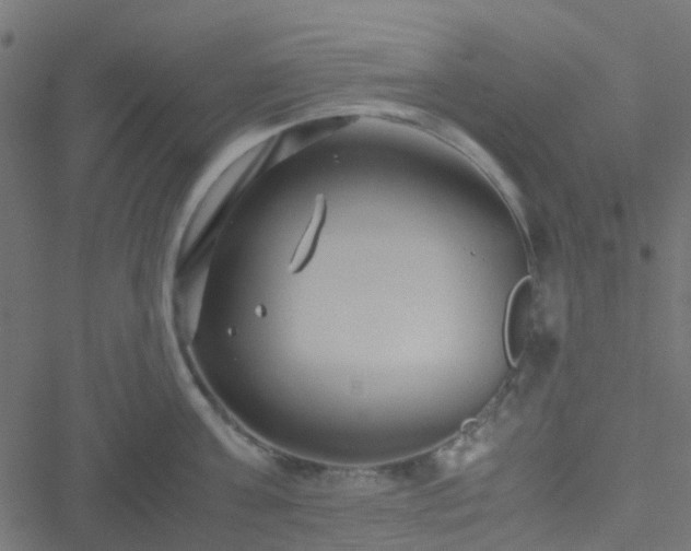 X0000051250811200506241545