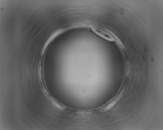 X0000051250812200506241545