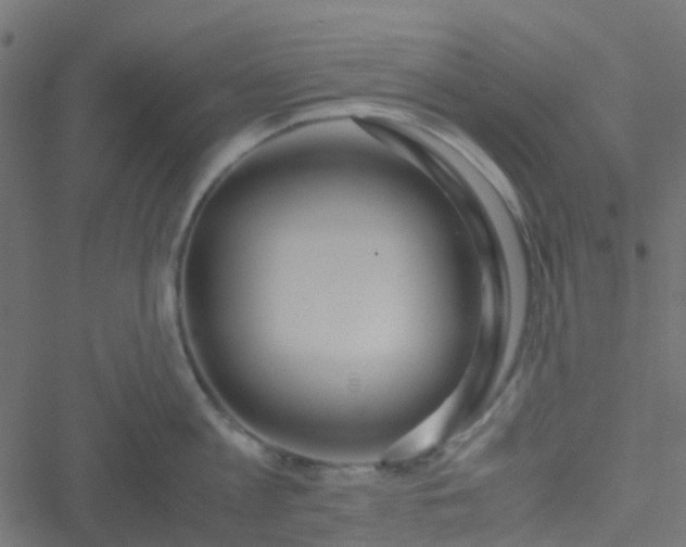 X0000051250813200506241545