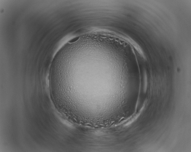 X0000051250814200506241545