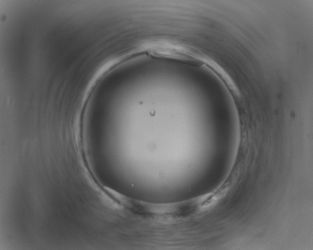 X0000051250815200506241545