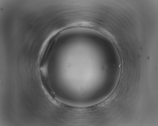 X0000051250816200506241545